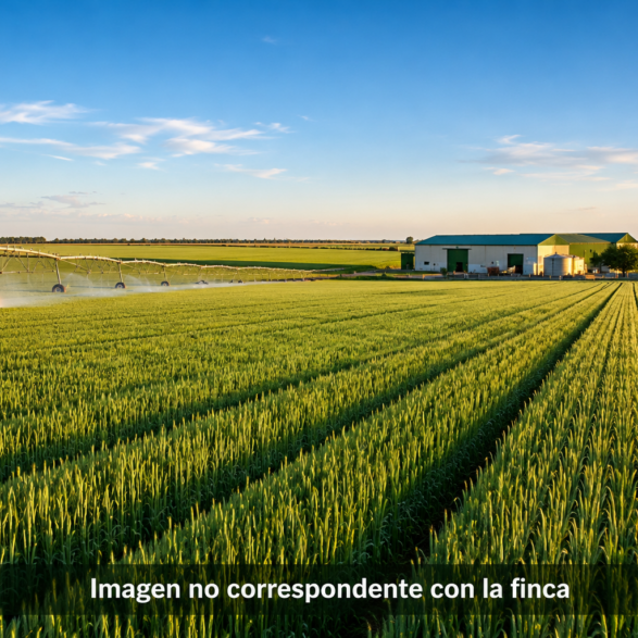 finca1